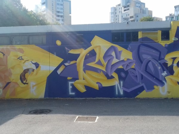 Street Art Festival 2017 de Grenoble: Un artiste russe de Perm y&nbsp;participe