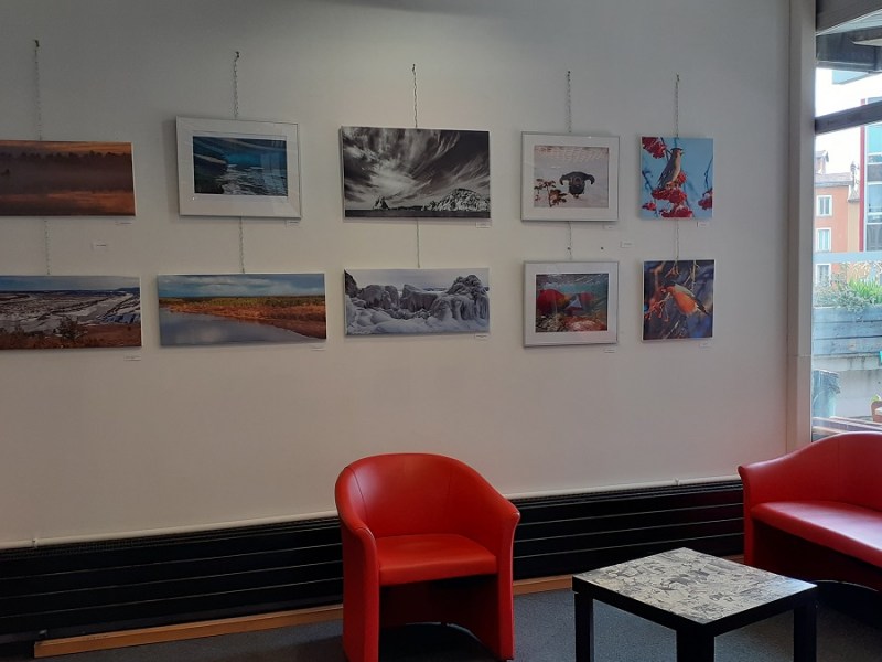 &laquo;&nbsp;Terres sauvages de Russie&nbsp;&raquo; à la bibliothèque Centre-Ville de&nbsp;Grenoble