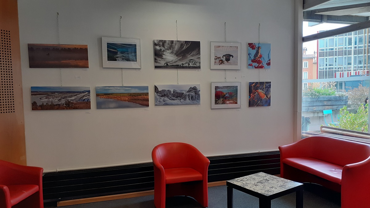 &laquo;&nbsp;Terres sauvages de Russie&nbsp;&raquo; à la bibliothèque Centre-Ville de&nbsp;Grenoble